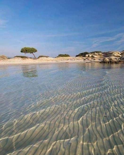Villa Elea Vourvourou Esterno foto